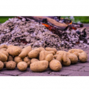 Potatoes by  Casa Rio Herb 