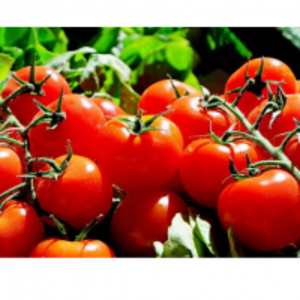 Tomatoes by  Casa Rio Herb 