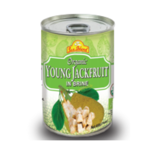 Young Jackfruit In Brine by Consolidated Business Systems Ltd