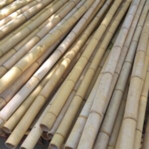 resources of Raw Bamboo Pole exporters