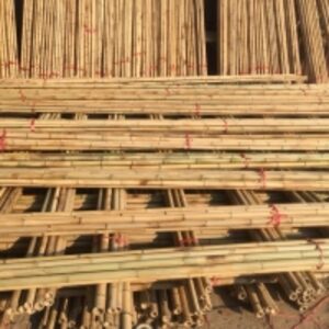 Bamboo Pole/dried Bamboo by  99 Gold Data Processing Trading Company Limited 