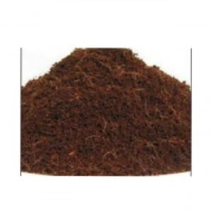 High Quality Biodegraded Cocopeat by  99 Gold Data Processing Trading Company Limited 