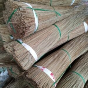 Coconut Broom Stick by  99 Gold Data Processing Trading Company Limited 