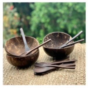  Coconut Set Bowl-Spoon-Fork 