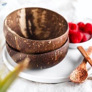 Coconut Shell Bowl by  99 Gold Data Processing Trading Company Limited 