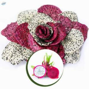 Dried Dragon Fruit by  99 Gold Data Processing Trading Company Limited 