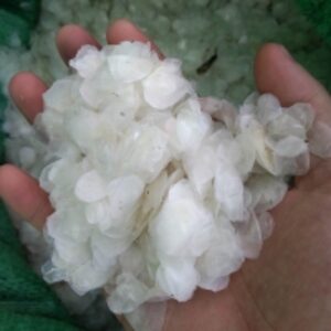  Fish Scale, Tilapia/ Seabass/ Snakehead Fish 