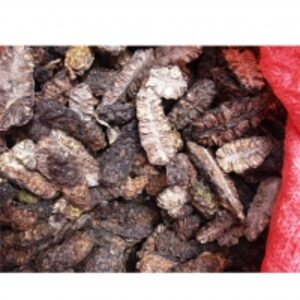 Dried Noni Fruit by 99 Gold Data Processing Trading Company Limited