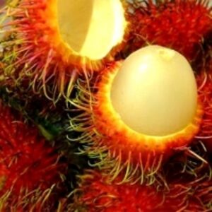 Fresh Rambutan by 99 Gold Data Processing Trading Company Limited