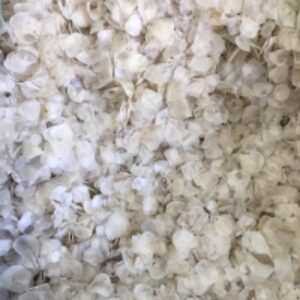 Dried Fish Scale by  99 Gold Data Processing Trading Company Limited 