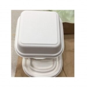 Sugacane Bagasse Box by  99 Gold Data Processing Trading Company Limited 