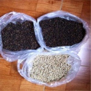 Black Pepper by  99 Gold Data Processing Trading Company Limited 