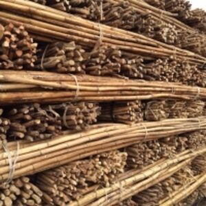  Rattan Cane Pole (Pita) 