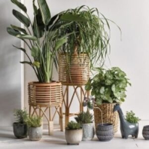  Rattan Planter Stand 