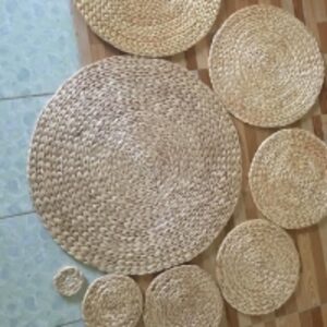  Water Hyacinths Mats Various Sizes 
