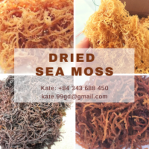  Sea Moss / Seaweed 