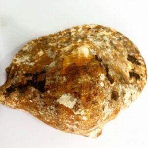 Seashell by 99 Gold Data Processing Trading Company Limited