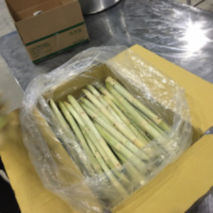 Raw Fresh Sugarcane by  99 Gold Data Processing Trading Company Limited 