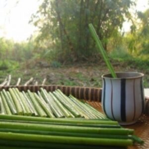 Drinking Grass Straw Eco Friendly by  99 Gold Data Processing Trading Company Limited 
