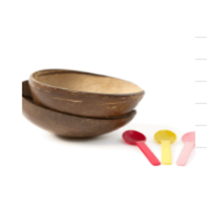 Coconut Shell - Polished by Rekhoosinc