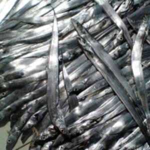 Frozen Ribbon Fish Wr by  Empayar Samudera International 