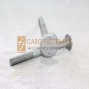 Step Bolts by  Garg Fasteners 