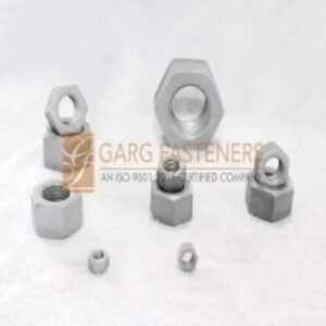 Hex Nuts by  Garg Fasteners 