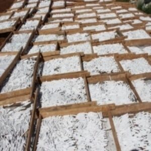 School Writing Chalks by  Tona Investment 