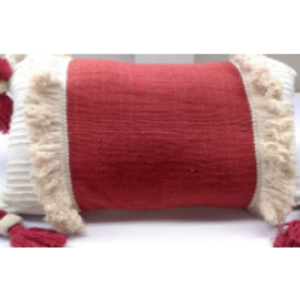 Cushion Cover by  Sas Elegant Home Concepts LLP 