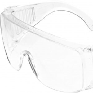 Eyewear Protective Worker Bees Clear