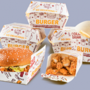  Premium Burger And Pizza Food Boxes 