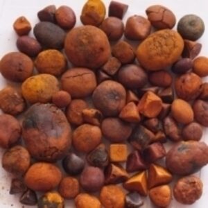 Ox Gallstones by Nhspro Co. Ltd.