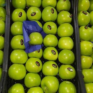 Granny Smith Apples, Green Apples by  MTR Export Import 