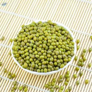 Green Mung Beans by  MTR Export Import 