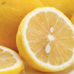 Fresh Lemon by  MTR Export Import 
