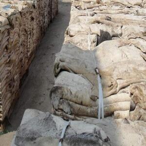  Wet Salted Donkey Hides/skin 