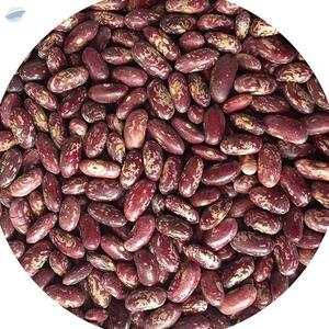 Dried Red Speckled Kidney Beans by  MTR Export Import 