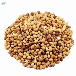  Mahlab Seeds, Mahleb Seeds 
