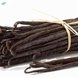 Vanilla Beans by  MTR Export Import 