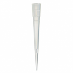 10Ml Filter Tip, Bulk by Golden Biotechnologies Corp.