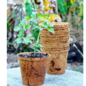 Bio Coir Pots by  Fidelio International Sdn Bhd 