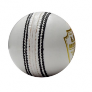  Cricket Balls 