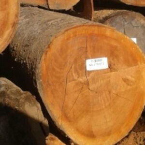 Tropical Round Logs by Wood Processing Company Soekhoe & Sons