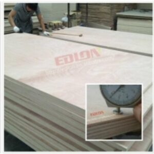  Commercial Combi Hardwood Core Twin Plywood 
