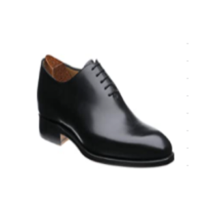 Formal Shoes Different Colors by  Petermartin Advisors LLP  