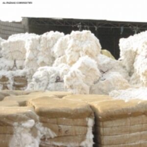 Cotton Comber Noil by  Al Razaaq Commodities 