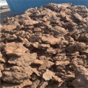 Cast Iron Skulls by  ITO Global Trading Company 