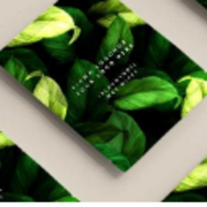 Wet Wipe Oem by  Gurpak Ambalaj Ve Gida San Tic Ltd. Sti. 