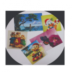 Digital Printing Kids Labels by  Anjni Labels 