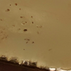 Offer GOLD BARS 22ct and 96% Gold/GOLD NUGGETS/BARS/INGOTS